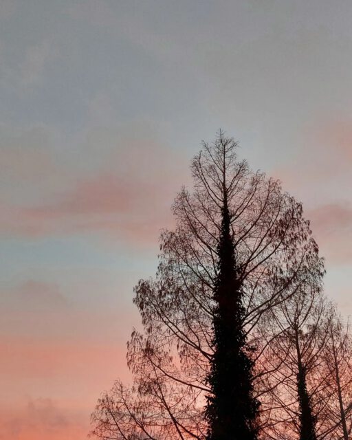 🎆 새해 복 많이 받으세요!
[se-he] [book] [ma-nie] [ba-du-se-joo]!
Gelukkig nieuwjaar!

📆 Vandaag is de eerste officiële dag van de KoongBoeK-kalender. Je kunt dus meteen aan de slag met het goede voornemen om iets over Koreaans en Korea te leren!

🎧 Vergeet tijdens het leren van de woorden niet om de audio te beluisteren. De audio van januari staat al klaar op de website, de rest volgt snel.

https://koongboek.nl/audio/

#koongboek #zuidkorea #koreaans #koreaansleren #kcalendar #kpopcalendar #kpopkalender #newyear #nieuwjaar #새해 #듣기 #goedevoornemens