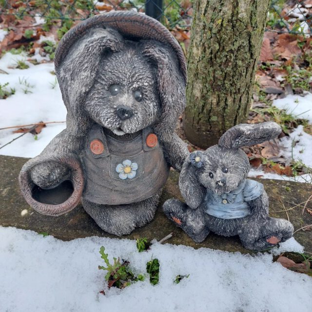 🗓 Vandaag is het Koreaans Nieuwjaar: 설날 [sol-lal] "Seollal". Dit is de meest gevierde feestdag van Zuid-Korea.

🌜 설날 [sol-lal] wordt op de eerste dag van de tweede nieuwe maan na de kortste dag van het jaar (21 december) gevierd en valt hierdoor elk jaar op een andere datum in de maand januari of februari. De viering duurt in totaal drie dagen: de dag vóór nieuwjaarsdag, nieuwjaarsdag (vandaag) en de dag ná nieuwjaarsdag.

🐇 Elk jaar staat in het teken van een van de twaalf dieren van de zodiak. Het jaar 2023 staat in het teken van het konijn.

#koongboek #공북 #zuidkorea #koreaans #koreaansleren #kcalendar #kpopcalendar #kpopkalender #newyear #nieuwjaar #새해 #seollal #설날 #konijn #토끼 #zodiak #조디악